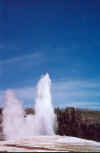 oldfaithful2.jpg (72750 bytes)