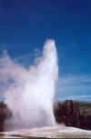 oldfaithful4.jpg (71495 bytes)